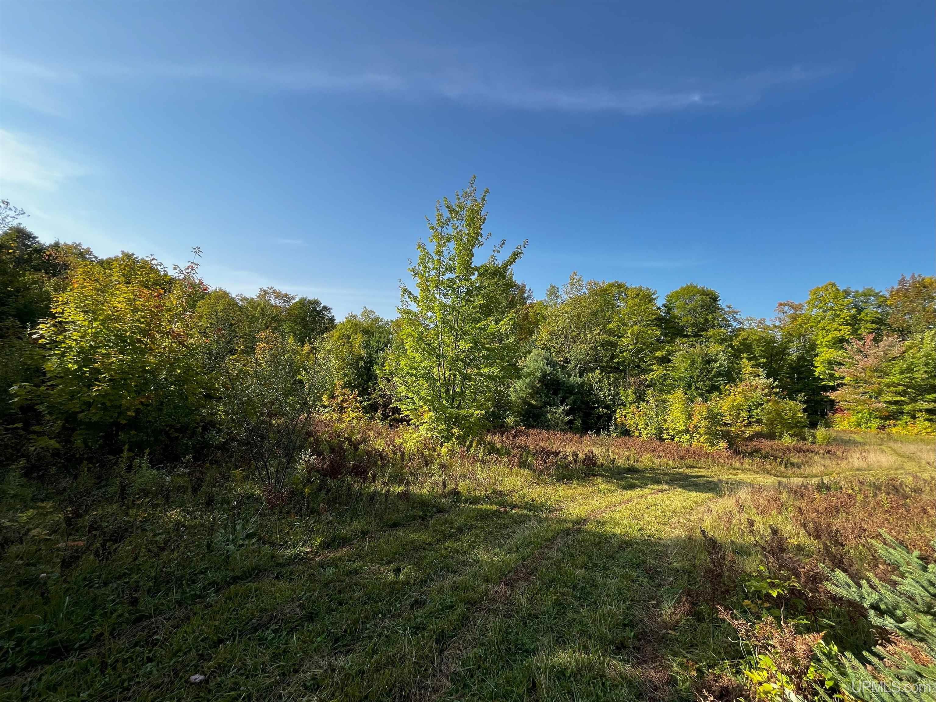 Tbda Worham Road Chassell, MI 49916 - Photo 21 of 28