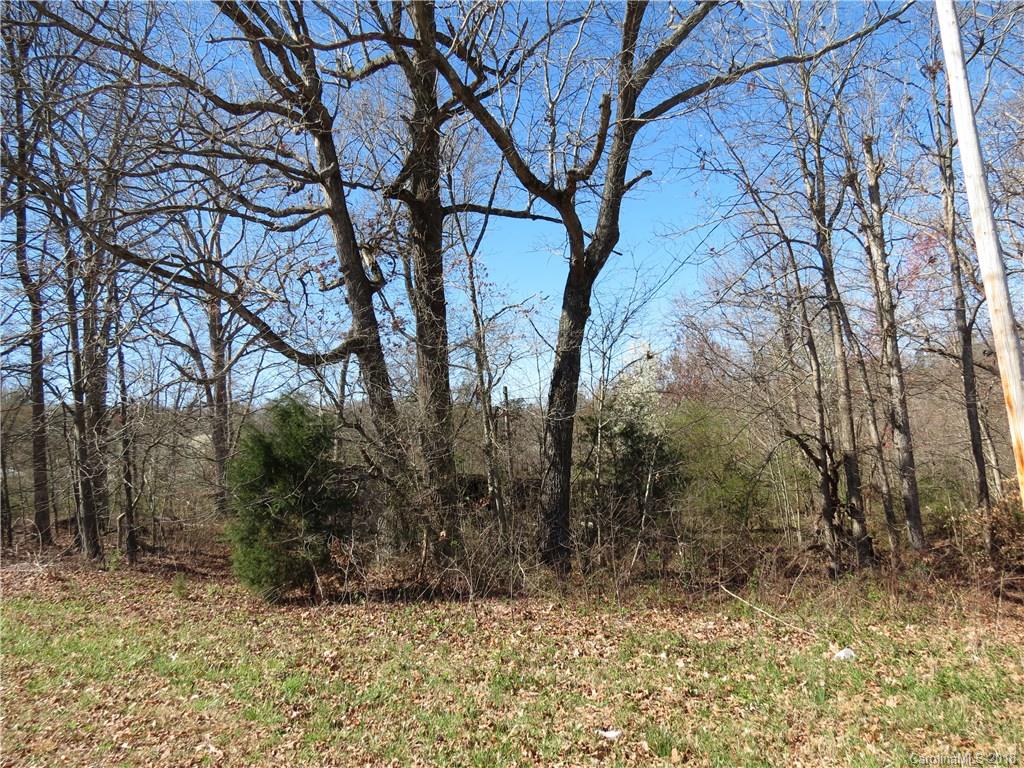 339 Lee Black Road Cherryville, NC 28021 - Photo 14 of 15