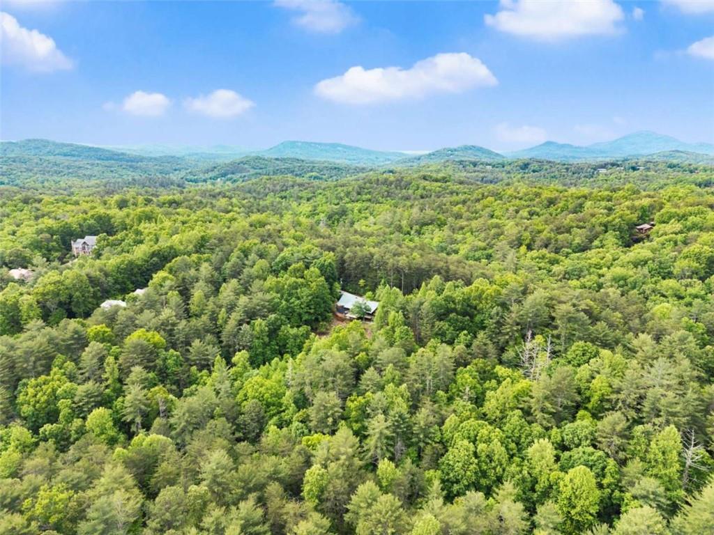 707 South Fern Cove Road Sautee Nacoochee, GA 30571 - Photo 57 of 60 a view of a city with lush green forest