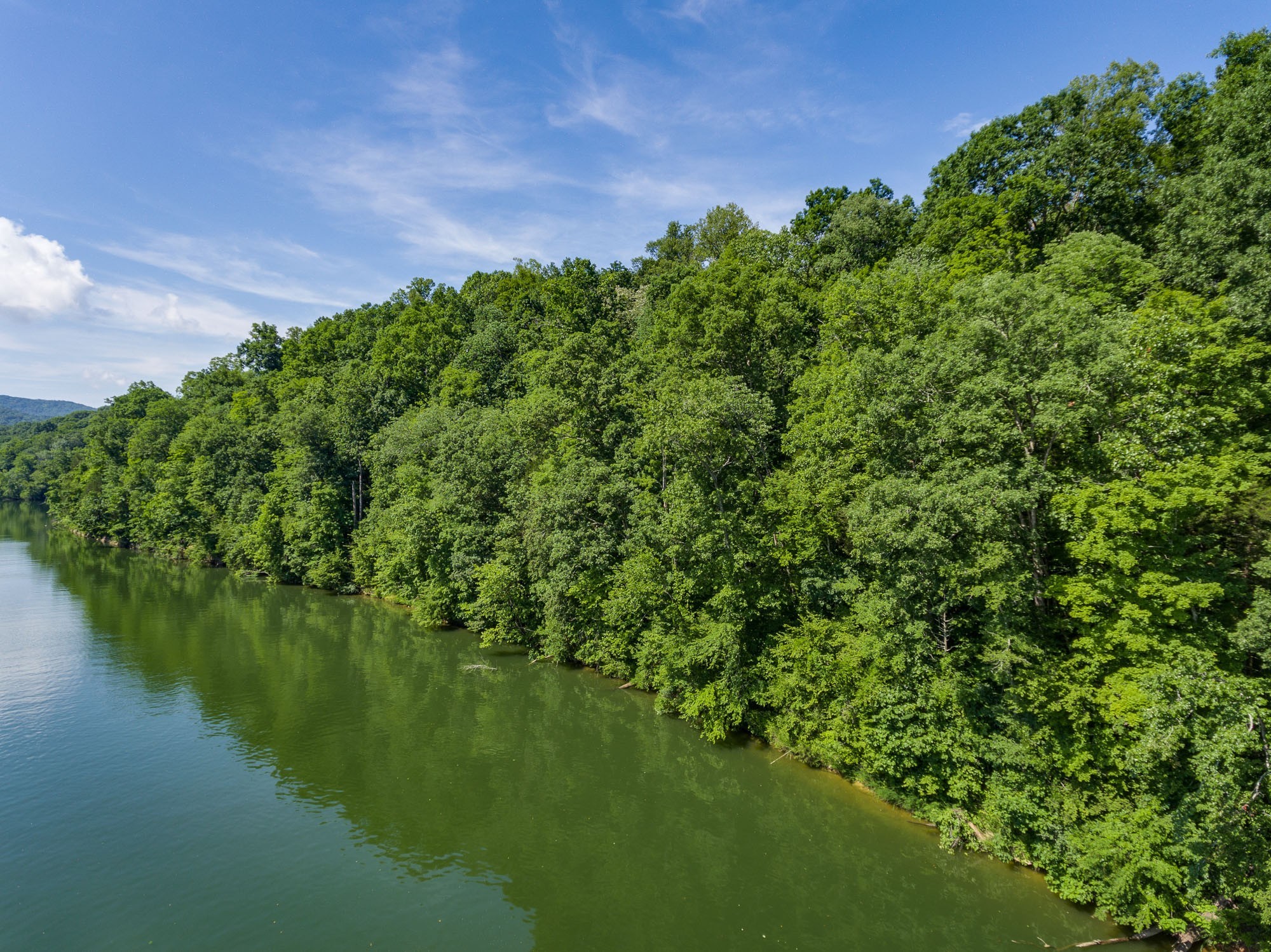 517 Simmons Cemetery Road Quebeck, TN 38579 - Photo 1 of 16 Gallery Image 1