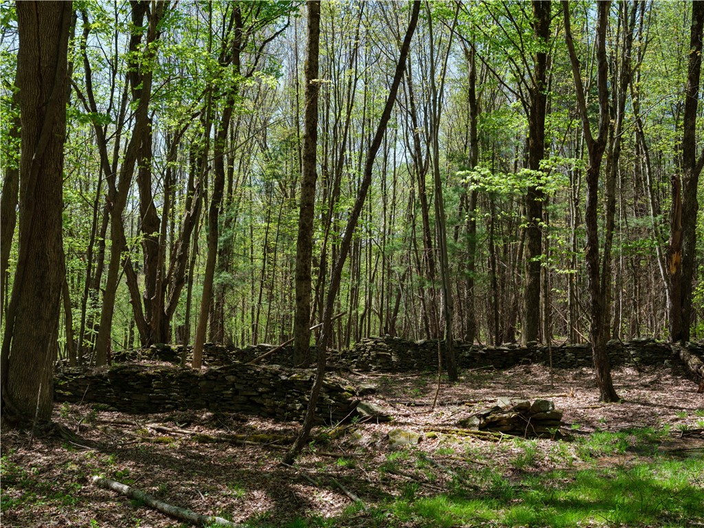 Sanly Road Franklin, NY 13775 - Photo 10 of 13