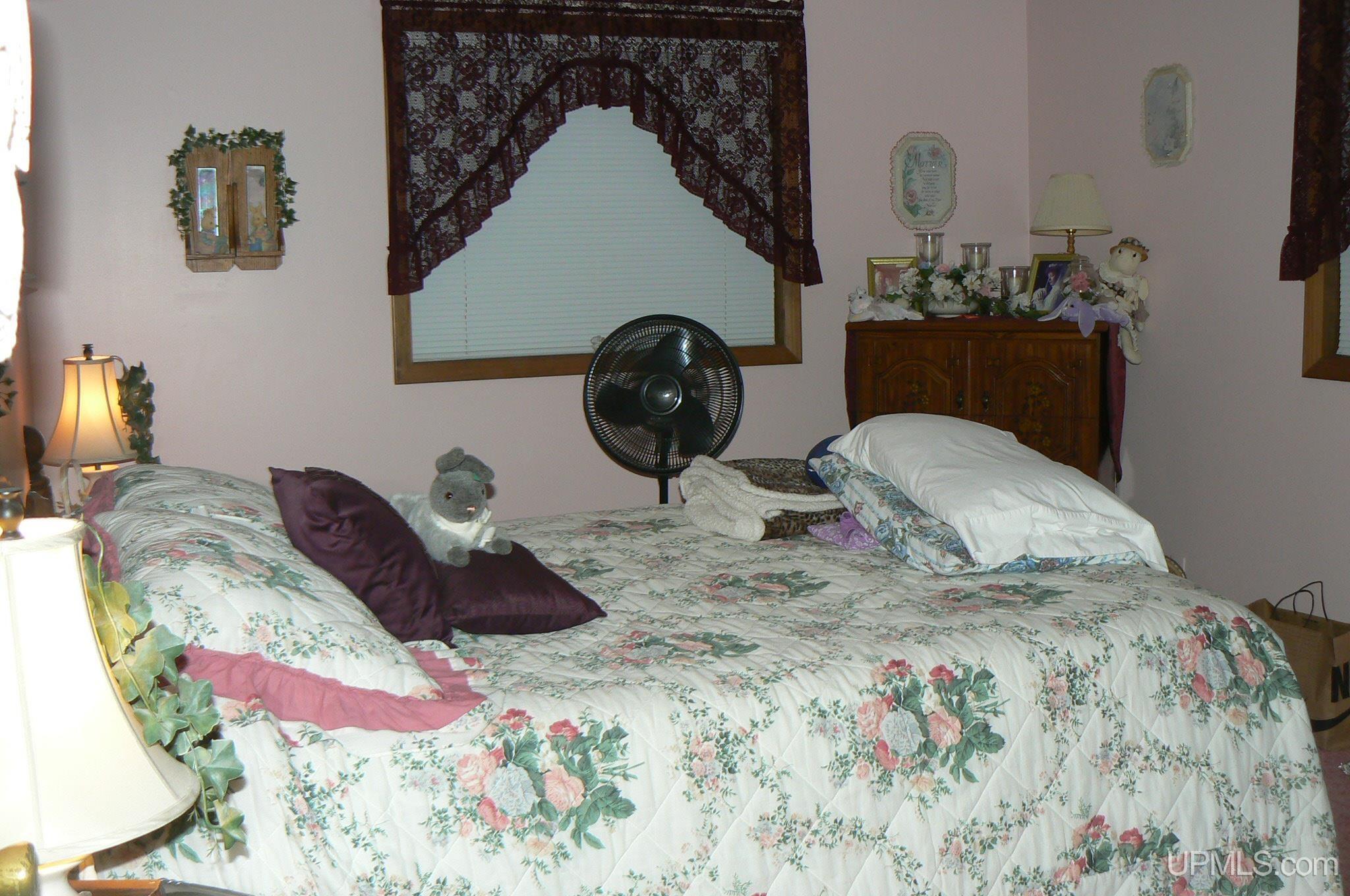 N5284 Benson Road Chatham, MI 49816 - Photo 15 of 22