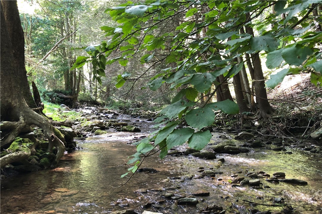 982 Jake's Mountain Road Deep Gap, NC 28618 - Photo 46 of 50 Gallery Image 46