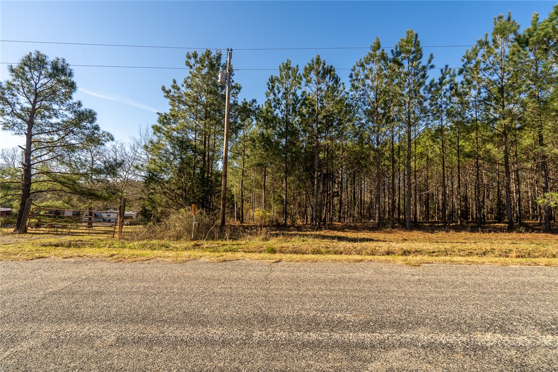 1 Tom Young Bridge Road Iva, SC 29655 - Photo 1 of 36