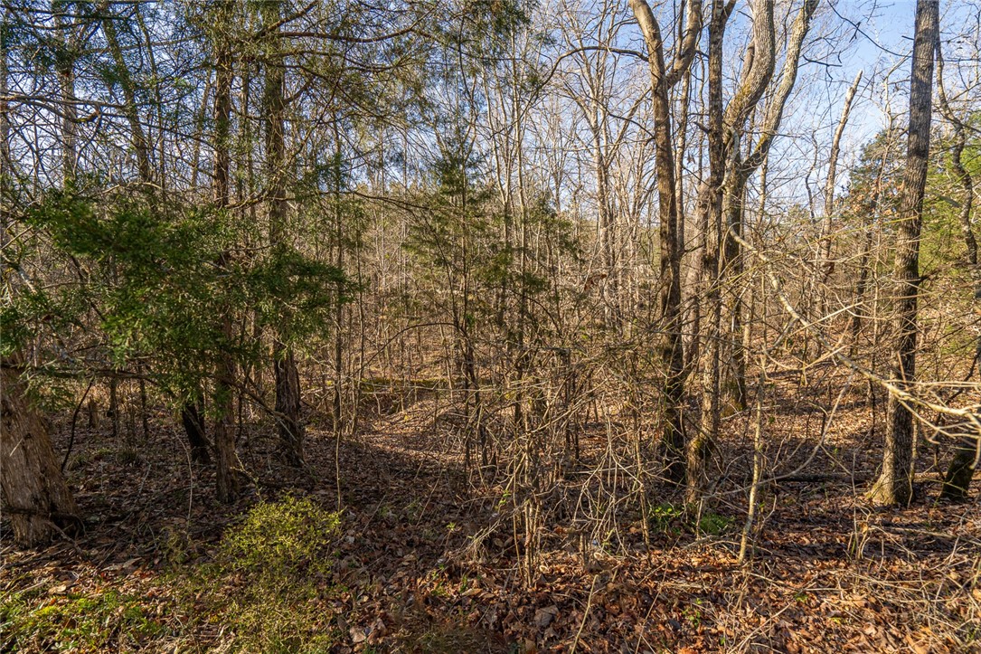 1 Tom Young Bridge Road Iva, SC 29655 - Photo 11 of 36