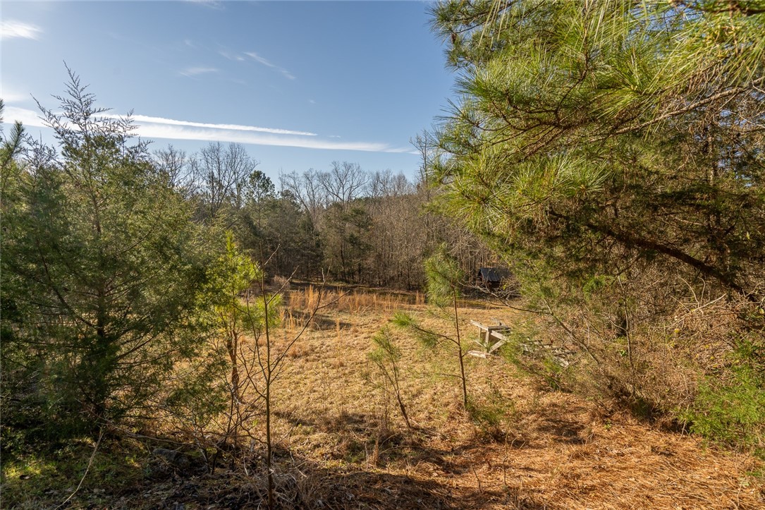 1 Tom Young Bridge Road Iva, SC 29655 - Photo 16 of 36