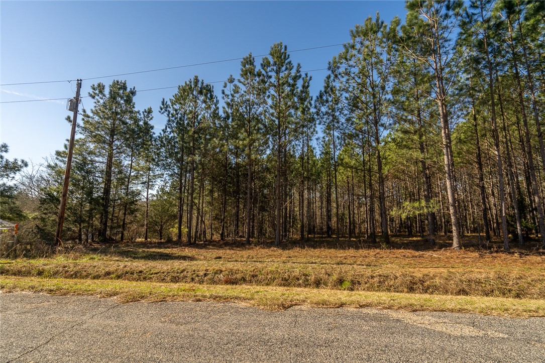 1 Tom Young Bridge Road Iva, SC 29655 - Photo 19 of 36
