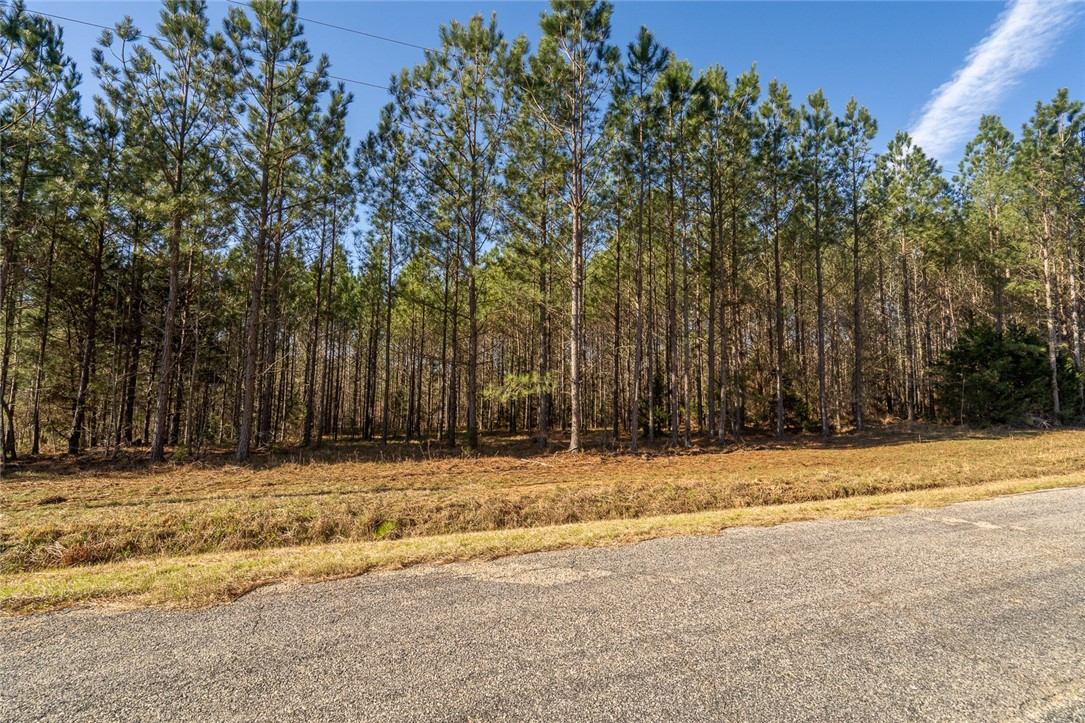 1 Tom Young Bridge Road Iva, SC 29655 - Photo 20 of 36