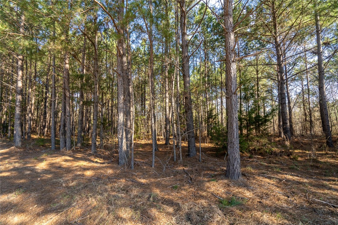 1 Tom Young Bridge Road Iva, SC 29655 - Photo 22 of 36