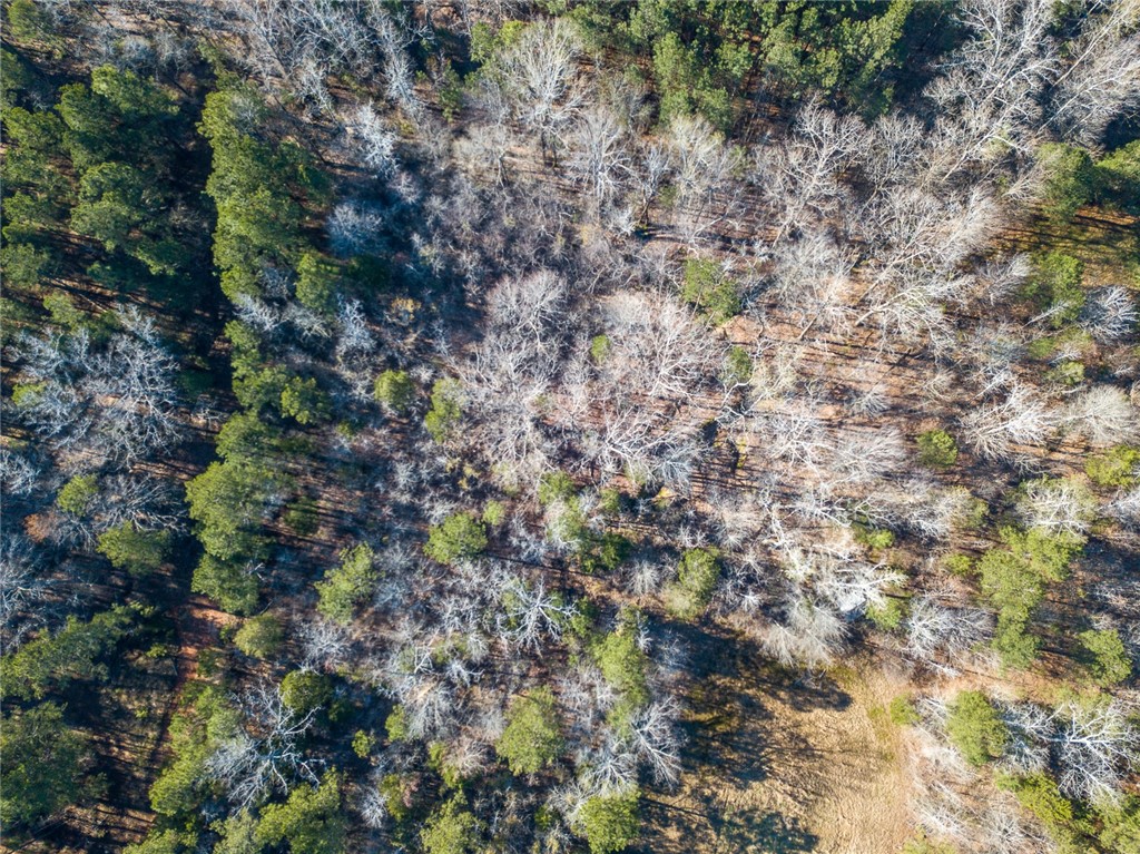 1 Tom Young Bridge Road Iva, SC 29655 - Photo 29 of 36