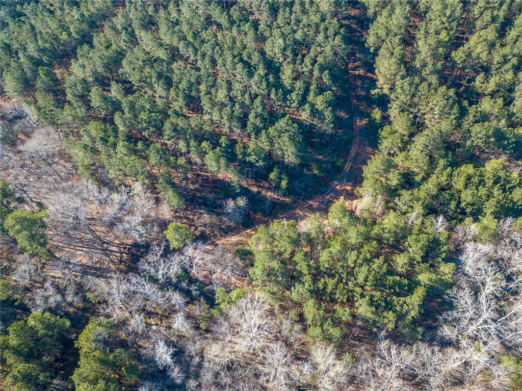 1 Tom Young Bridge Road Iva, SC 29655 - Photo 31 of 36