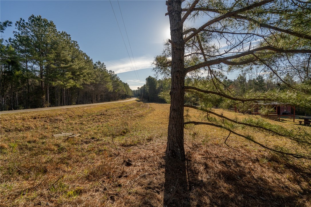 1 Tom Young Bridge Road Iva, SC 29655 - Photo 4 of 36