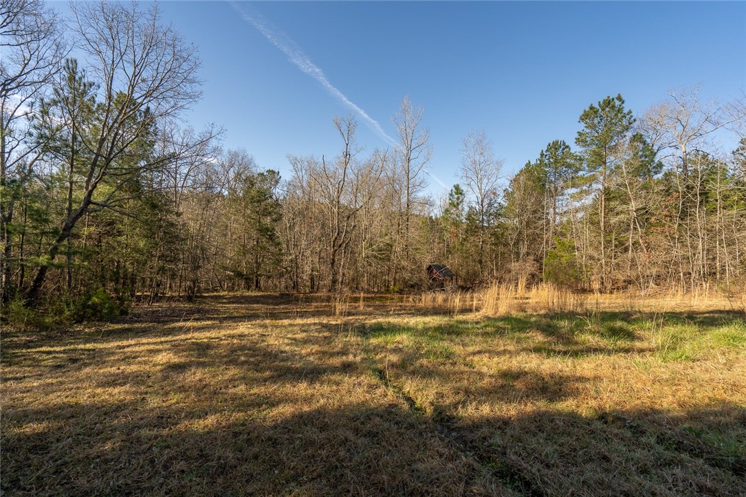 1 Tom Young Bridge Road Iva, SC 29655 - Photo 10 of 36