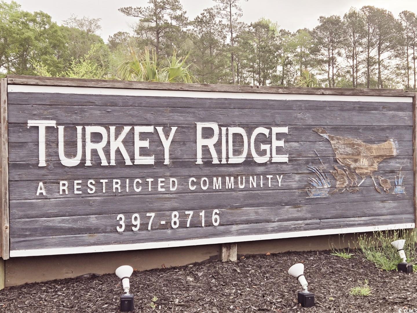 2809 Gobblers Run Conway, SC 29527 - Photo 23 of 24