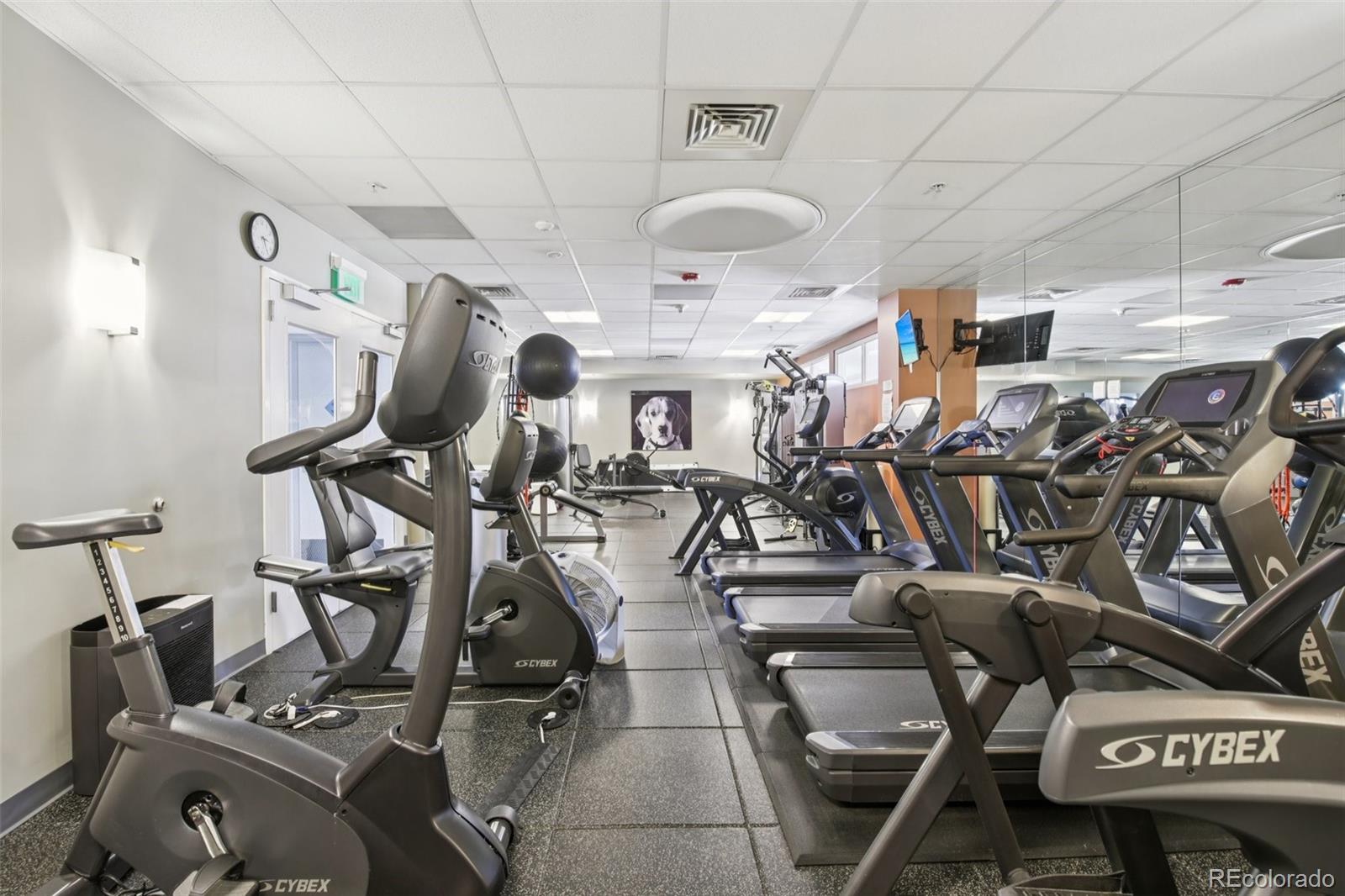 410 Acoma Street, Unit 206 Denver, CO 80204 - Photo 33 of 37 a view of a room with gym equipment