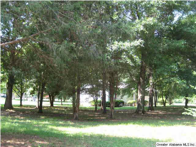 420 Happy Hollow Road Odenville, AL 35120 - Photo 10 of 23