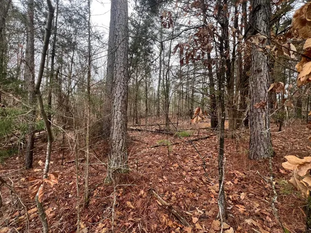 $6,800 | 156 Iron Horse Trail, Parsons, TN 38363