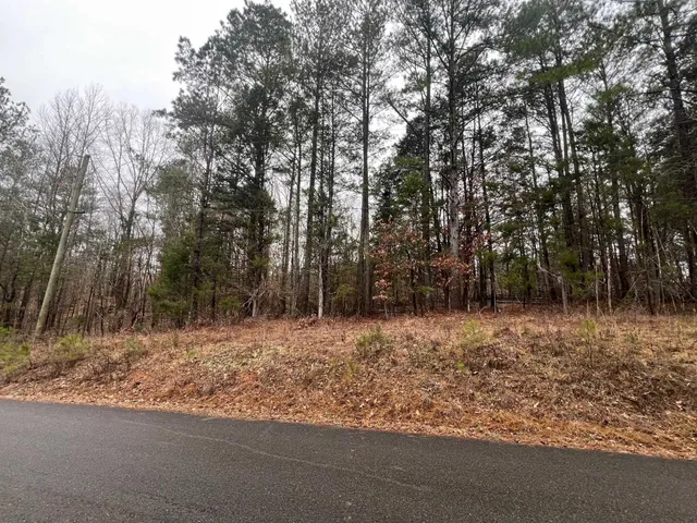 $6,800 | 156 Iron Horse Trail, Parsons, TN 38363