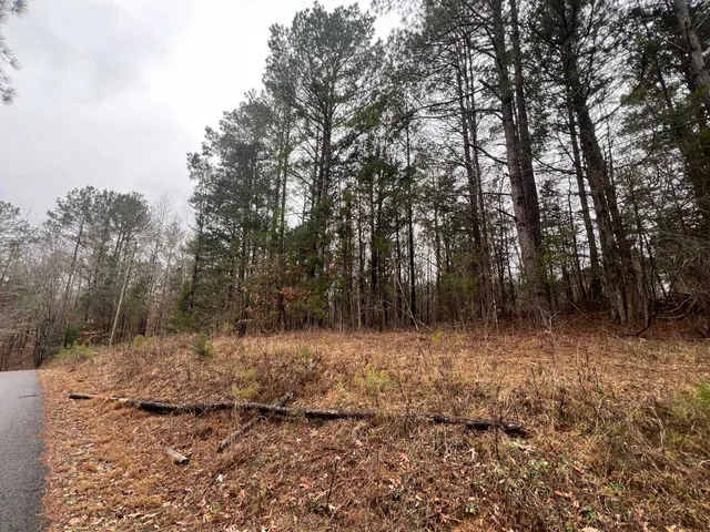 $6,800 | 156 Iron Horse Trail, Parsons, TN 38363