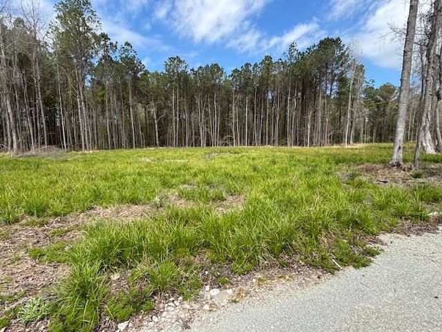 Lot 2 Coats Road Loris, SC 29569 - Photo 2 of 9