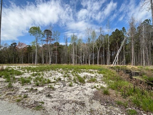 Lot 2 Coats Road Loris, SC 29569 - Photo 3 of 9