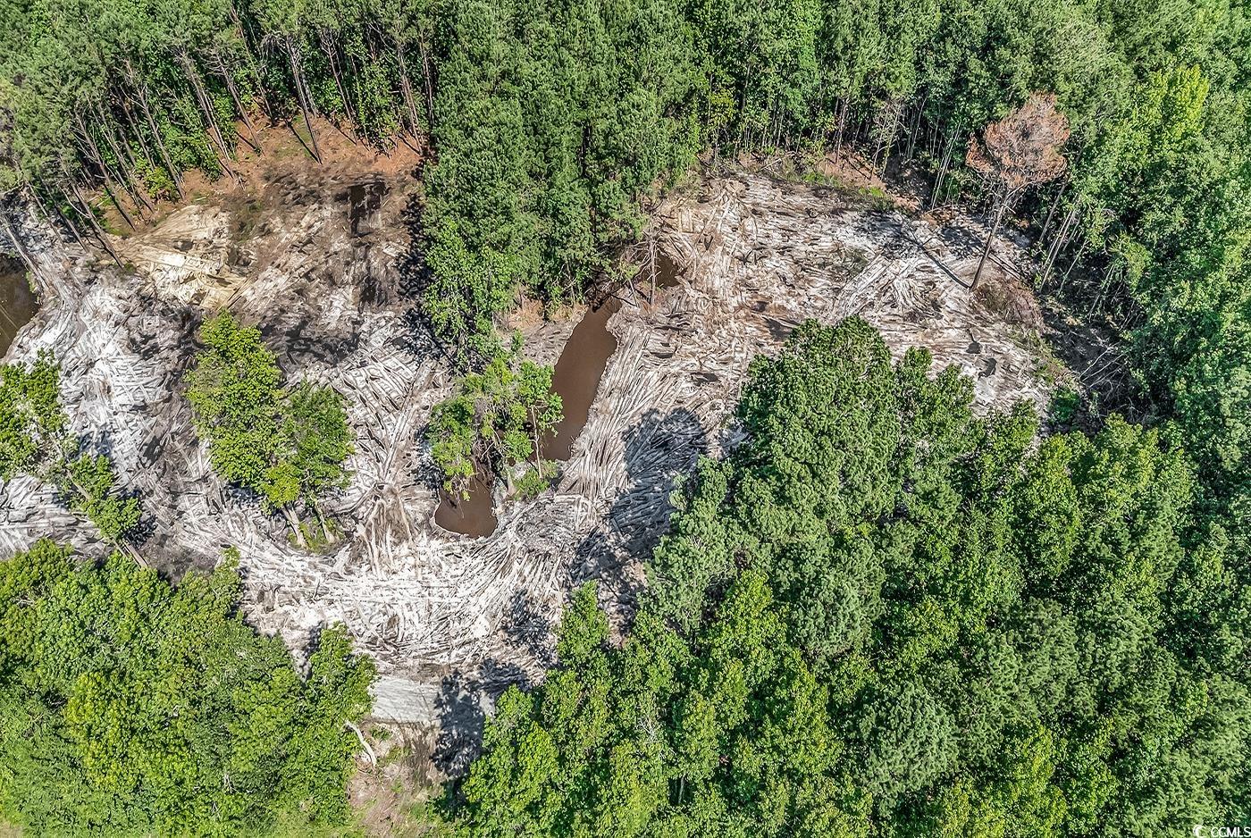 Lot 2 Coats Road Loris, SC 29569 - Photo 6 of 7 Bird's eye view of a heavily wooded area