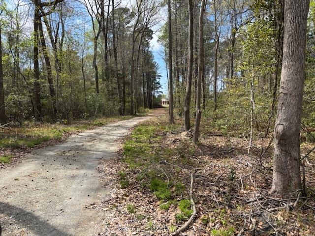 Lot 2 Coats Road Loris, SC 29569 - Photo 7 of 9