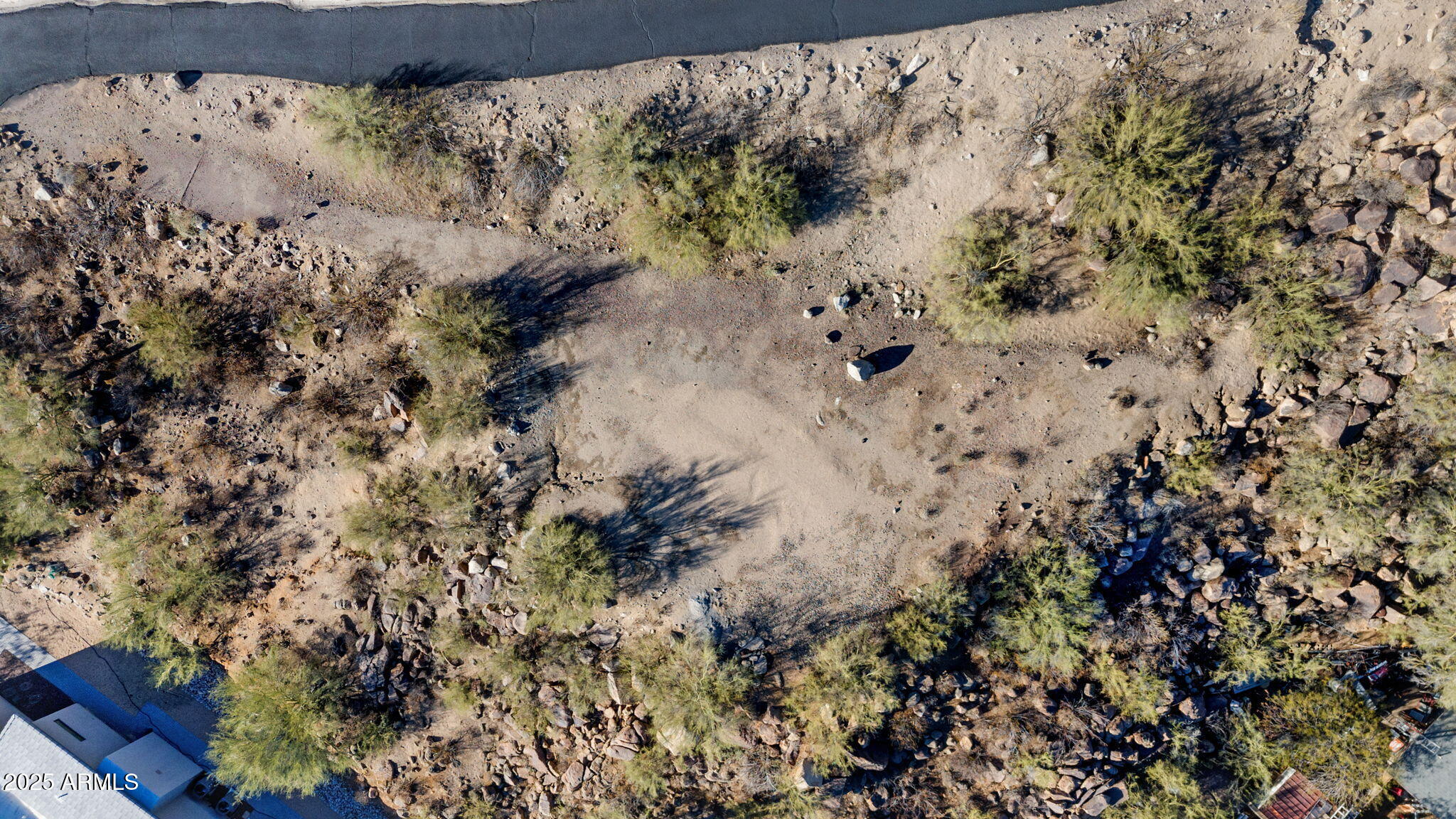 18908 North 22nd Street Phoenix, AZ 85024 - Photo 4 of 19 a view of a dry tree with a yard