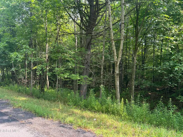 $48,000 | 25 Tannery Lane, Hague, NY 12836