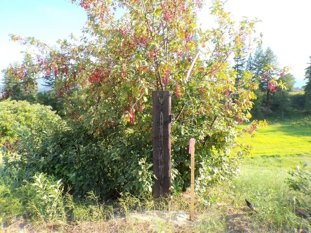 $145,000 | 781 H Highway, Kettle Falls, WA 99141