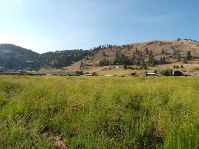 $145,000 | 781 H Highway, Kettle Falls, WA 99141