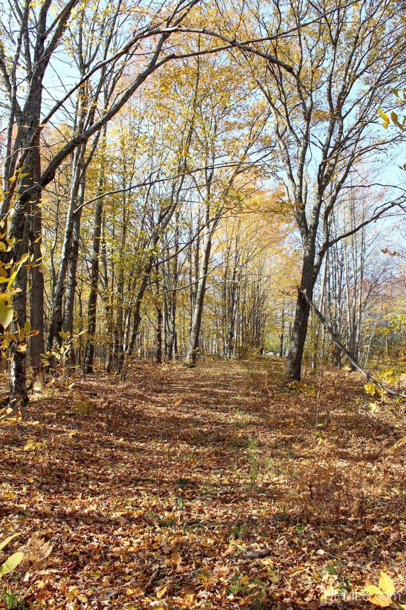 Tbd Pike River Road Chassell, MI 49916 - Photo 8 of 57 Gallery Image 8