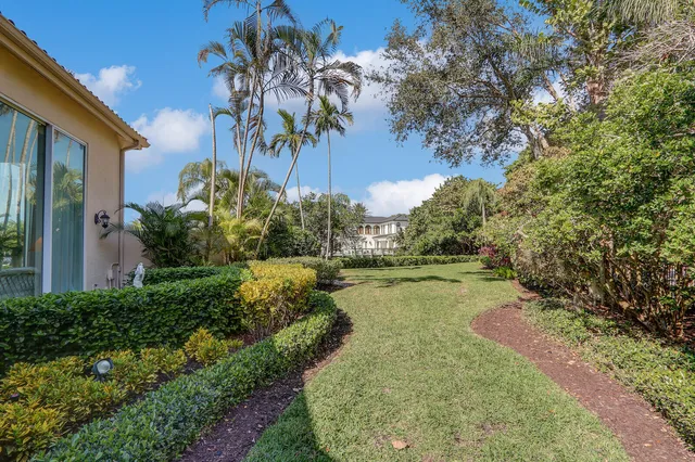 a view of a garden with a palm tree