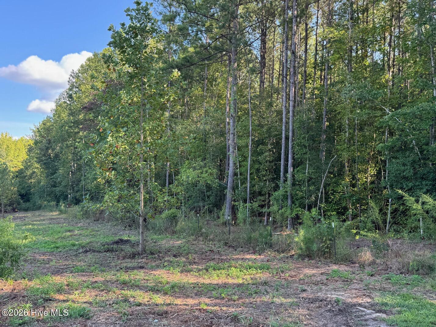 1595 Green Road Spring Hope, NC 27882 - Photo 48 of 52 Gallery Image 48