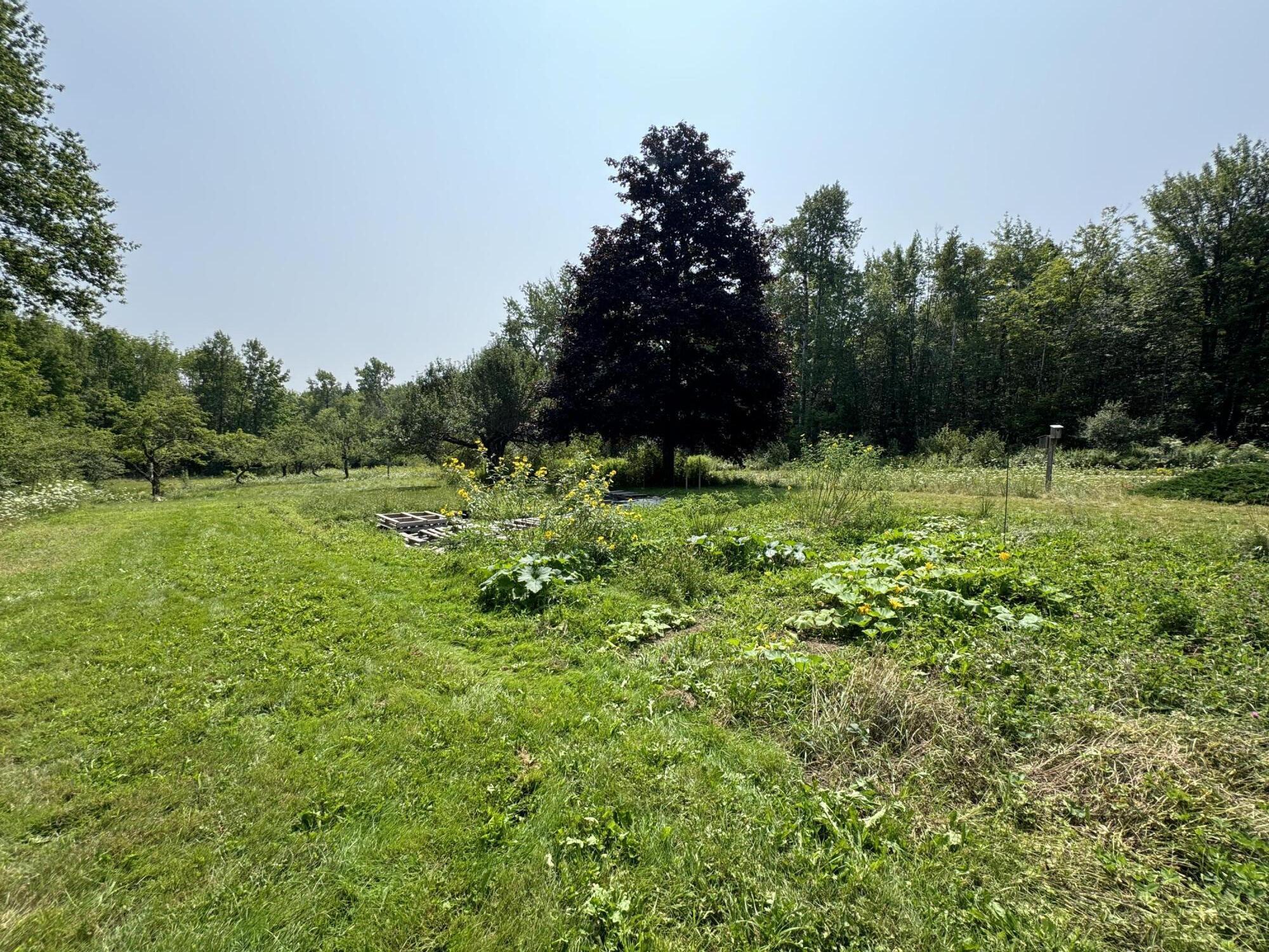 211 Clark Road Prospect, ME 04981 - Photo 32 of 44 20240816_162307330_iOS