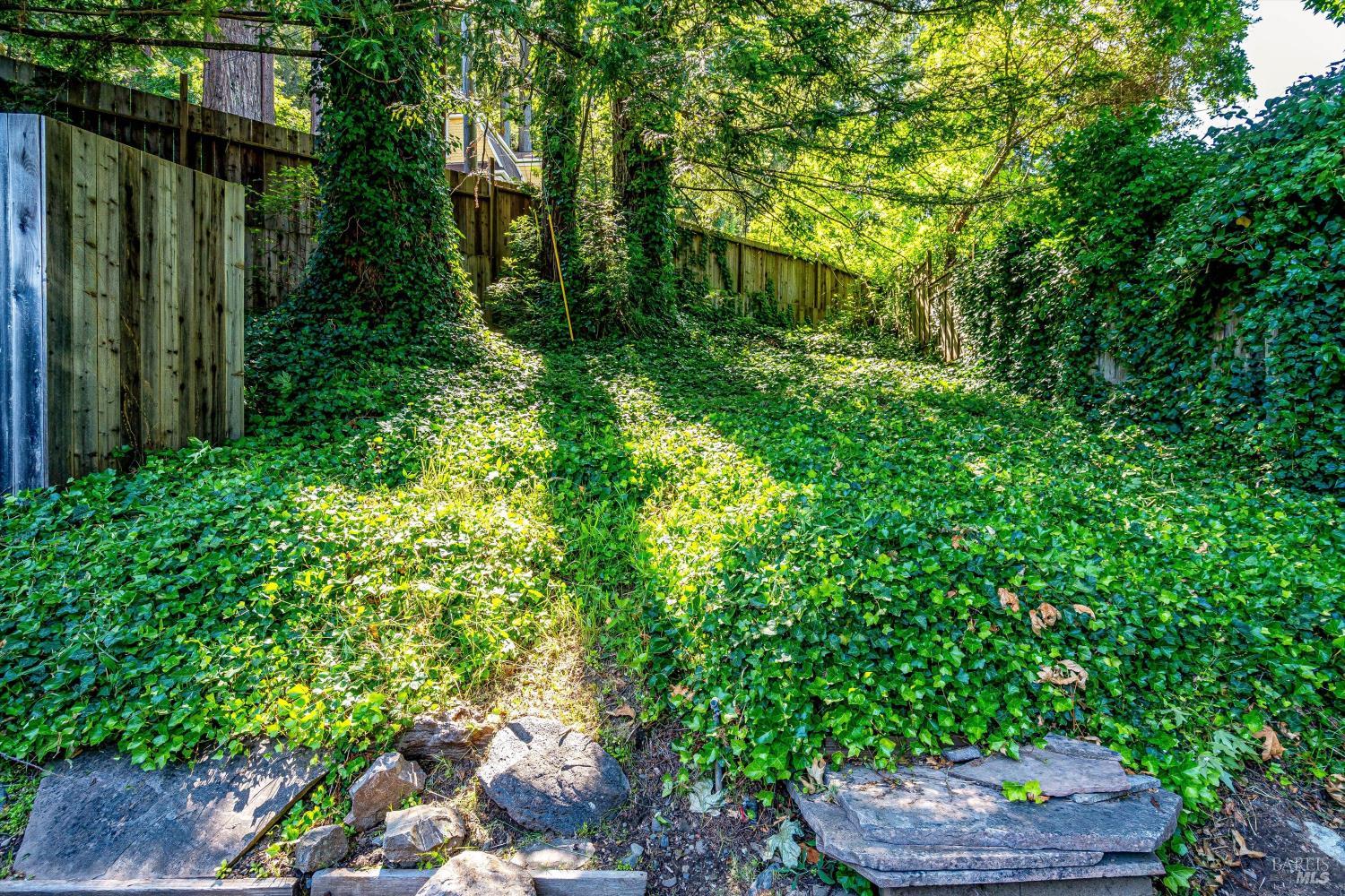 14950 Coleman Valley Road Occidental, CA 95465 - Photo 56 of 64