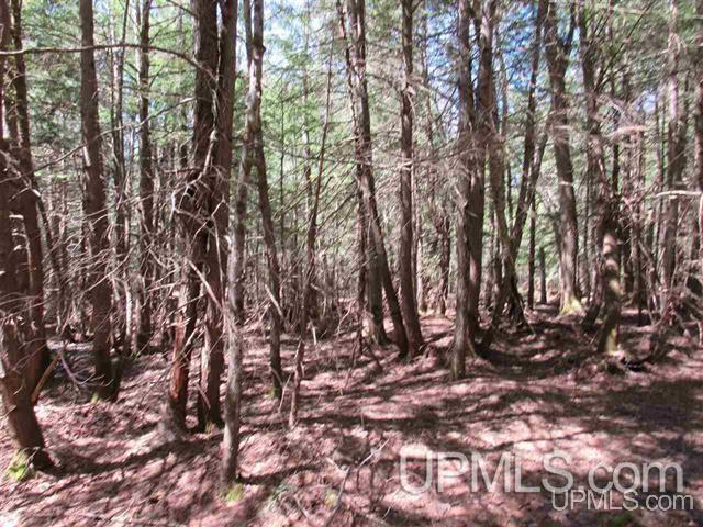 Tbd Klingville Road Chassell, MI 49916 - Photo 6 of 8