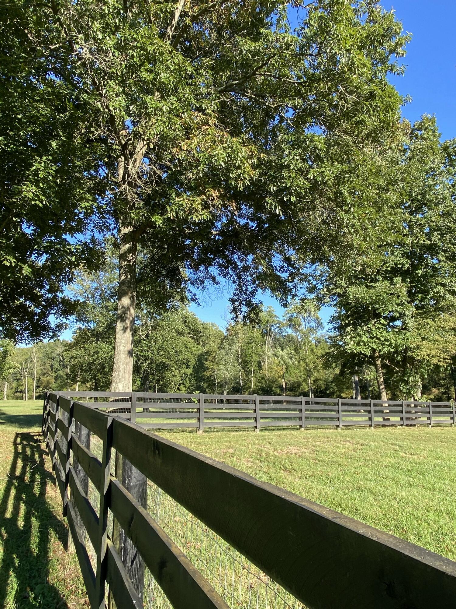 4911 Willailla Road Brodhead, KY 40409 - Photo 78 of 94 IMG_1473