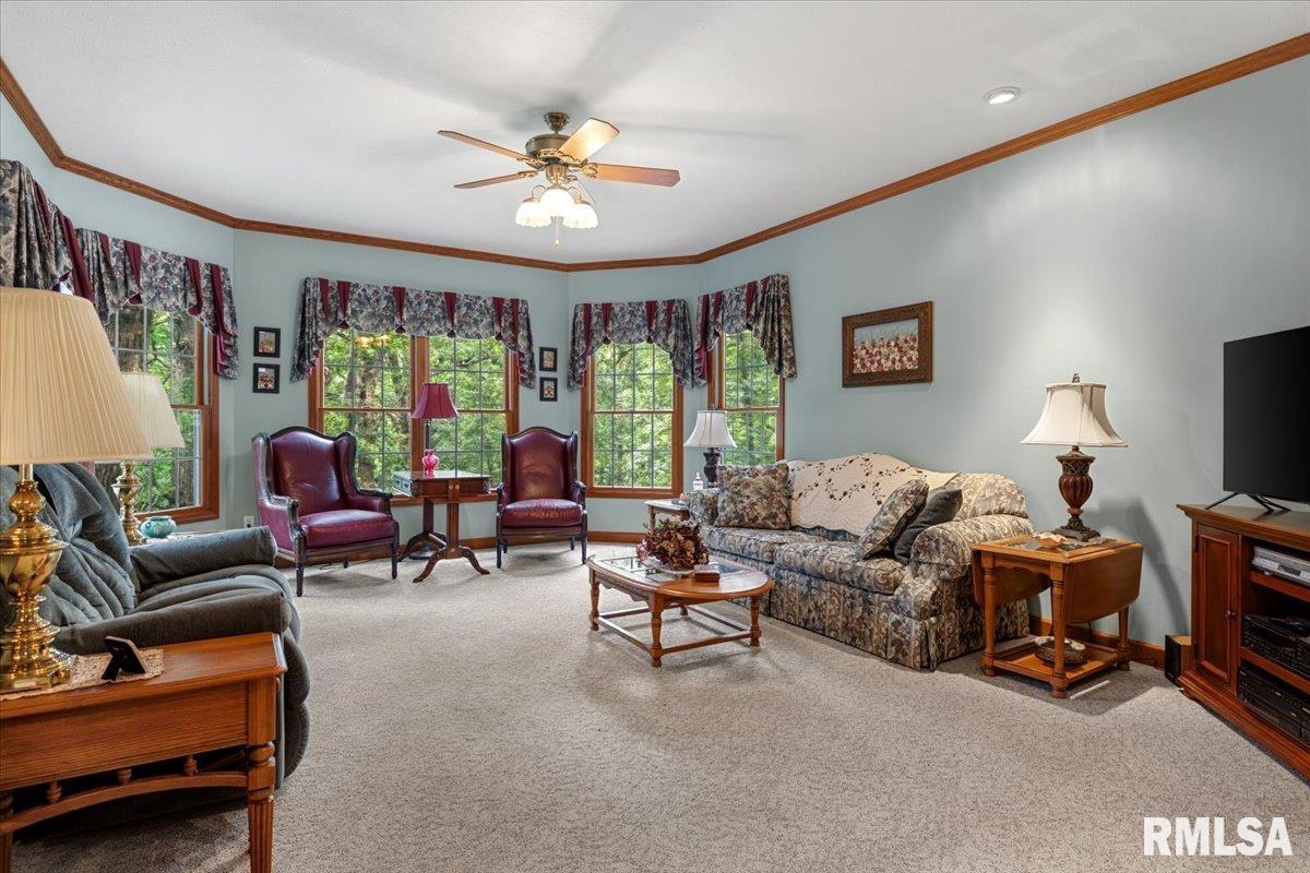 49 Woodland Trail Rochester, IL 62563 - Photo 25 of 98
