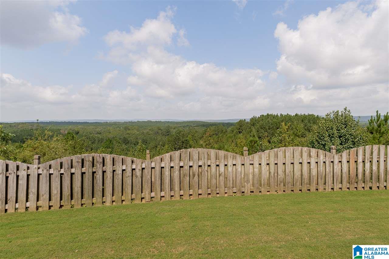 3071 Chelsea Park Ridge Chelsea, AL 35043 - Photo 44 of 45