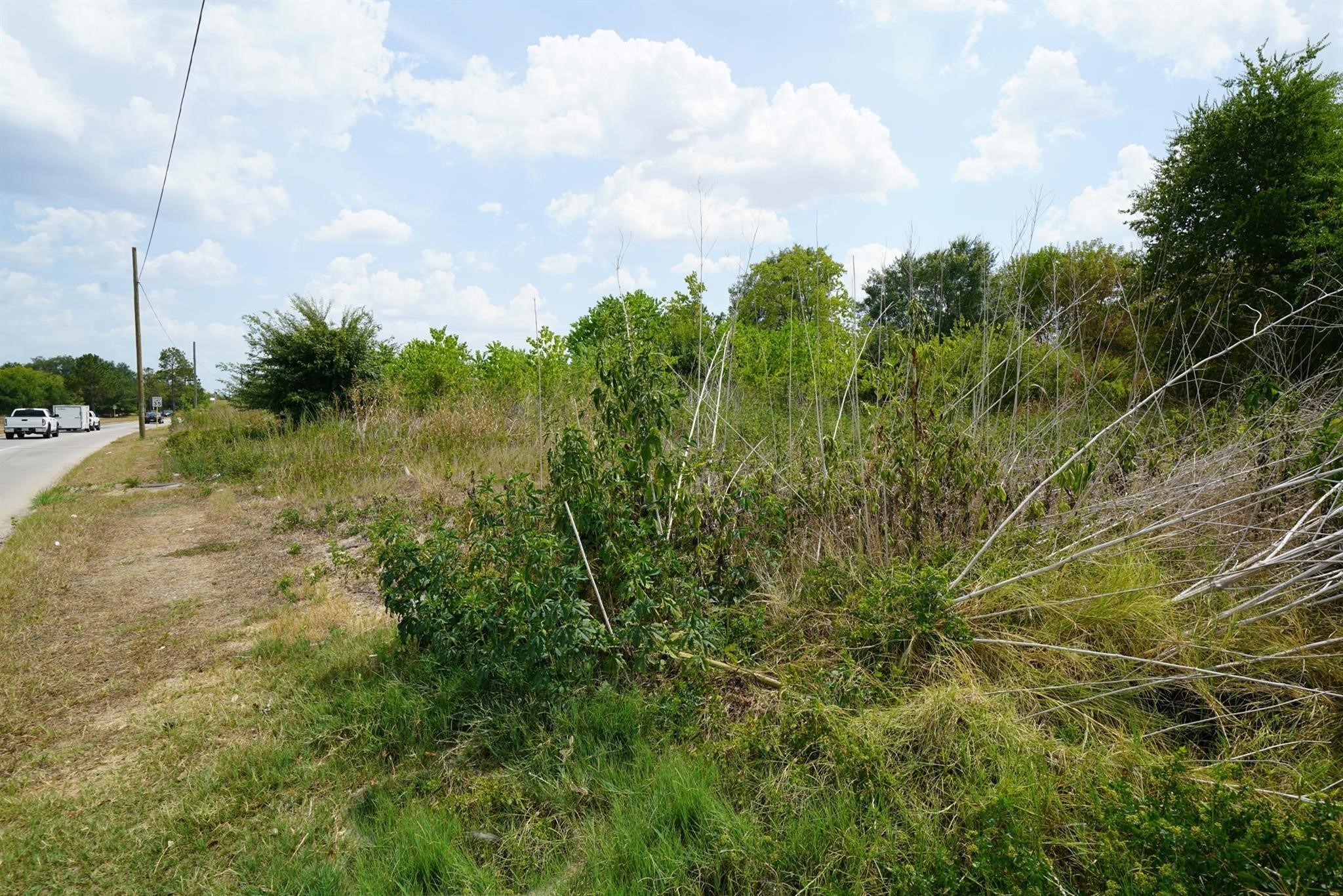 10307 Bammel North Houston Road Houston, TX 77086 - Photo 9 of 15 a view of a yard