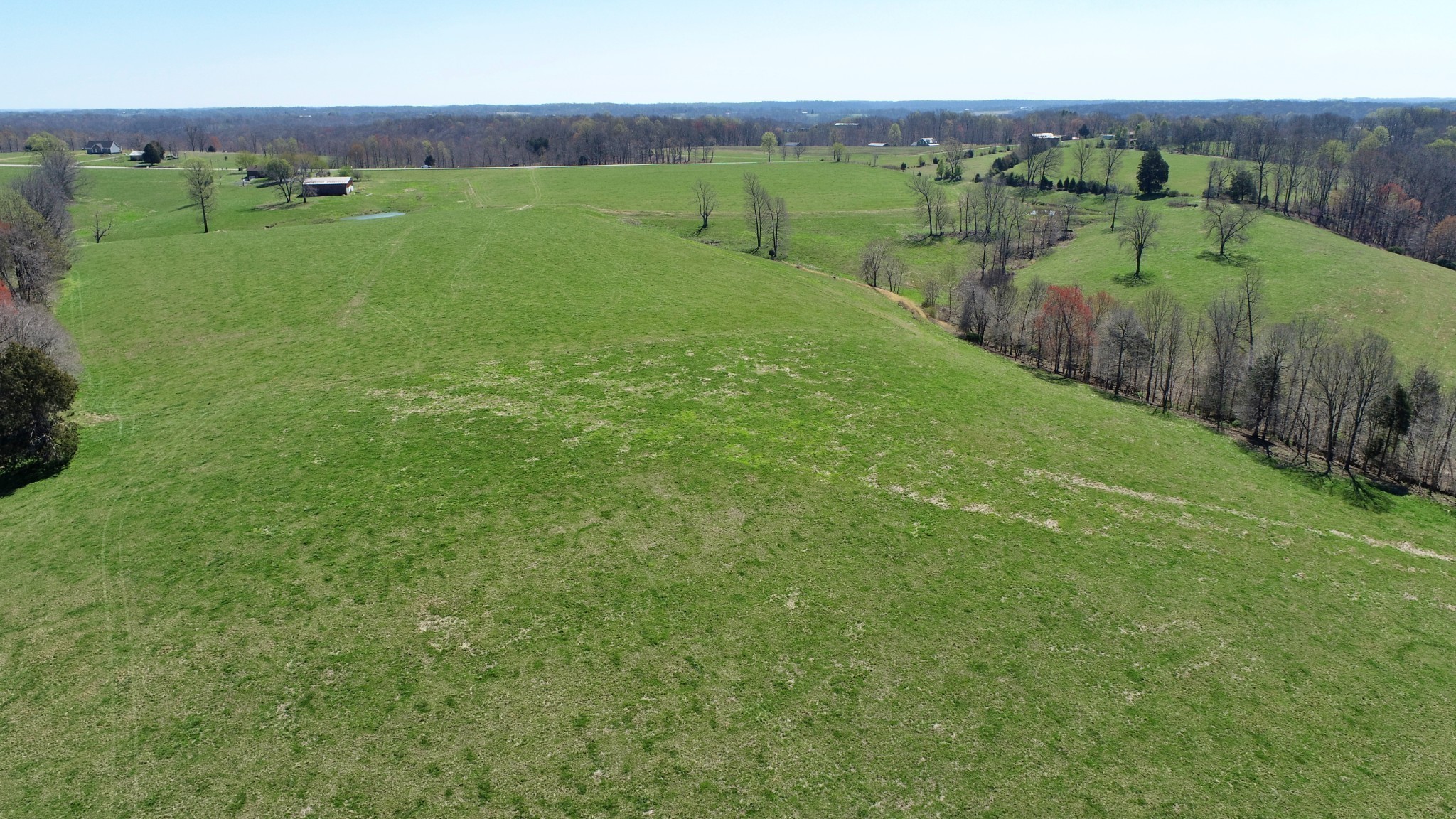 17 Galen Road Lafayette, TN 37083 - Photo 17 of 18 a view of a lush green space