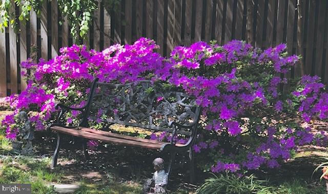 6702 Reynard Drive Springfield, VA 22152 - Photo 36 of 47 Since this is August.....