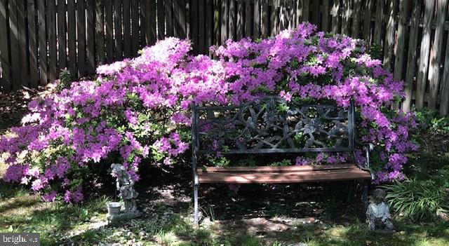 6702 Reynard Drive Springfield, VA 22152 - Photo 37 of 47 the sellers want you to see ....