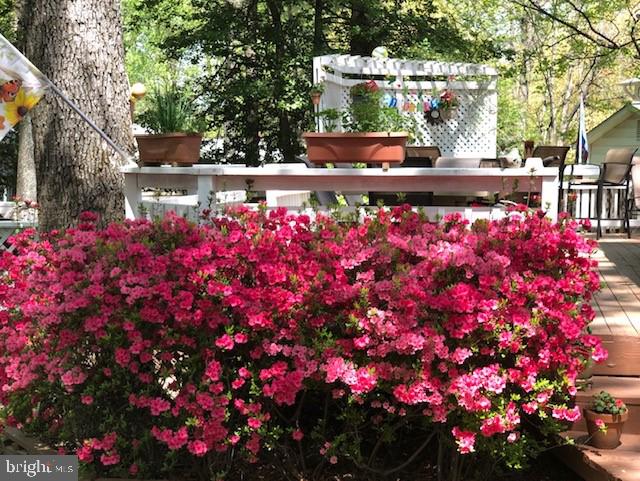 6702 Reynard Drive Springfield, VA 22152 - Photo 38 of 47 what awaits you....