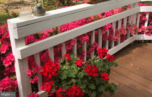 6702 Reynard Drive Springfield, VA 22152 - Photo 39 of 47 next spring....