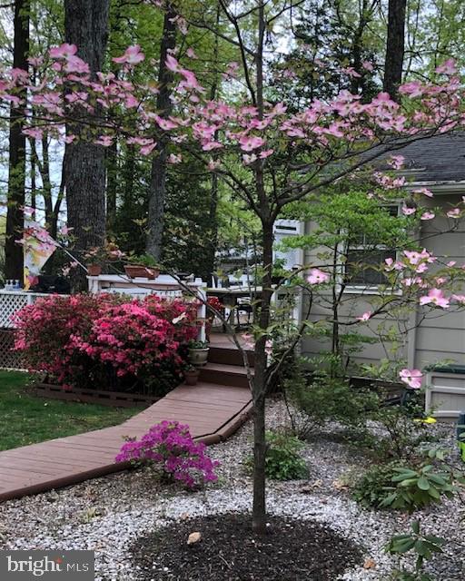 6702 Reynard Drive Springfield, VA 22152 - Photo 40 of 47 with all the flowers....