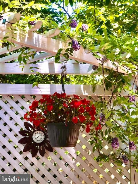 6702 Reynard Drive Springfield, VA 22152 - Photo 44 of 47 and places to accent your outdoor living even more