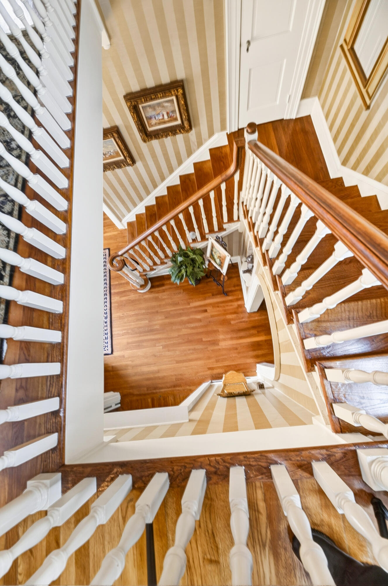 2729 Camden Road Holly Hill, SC 29059 - Photo 75 of 107