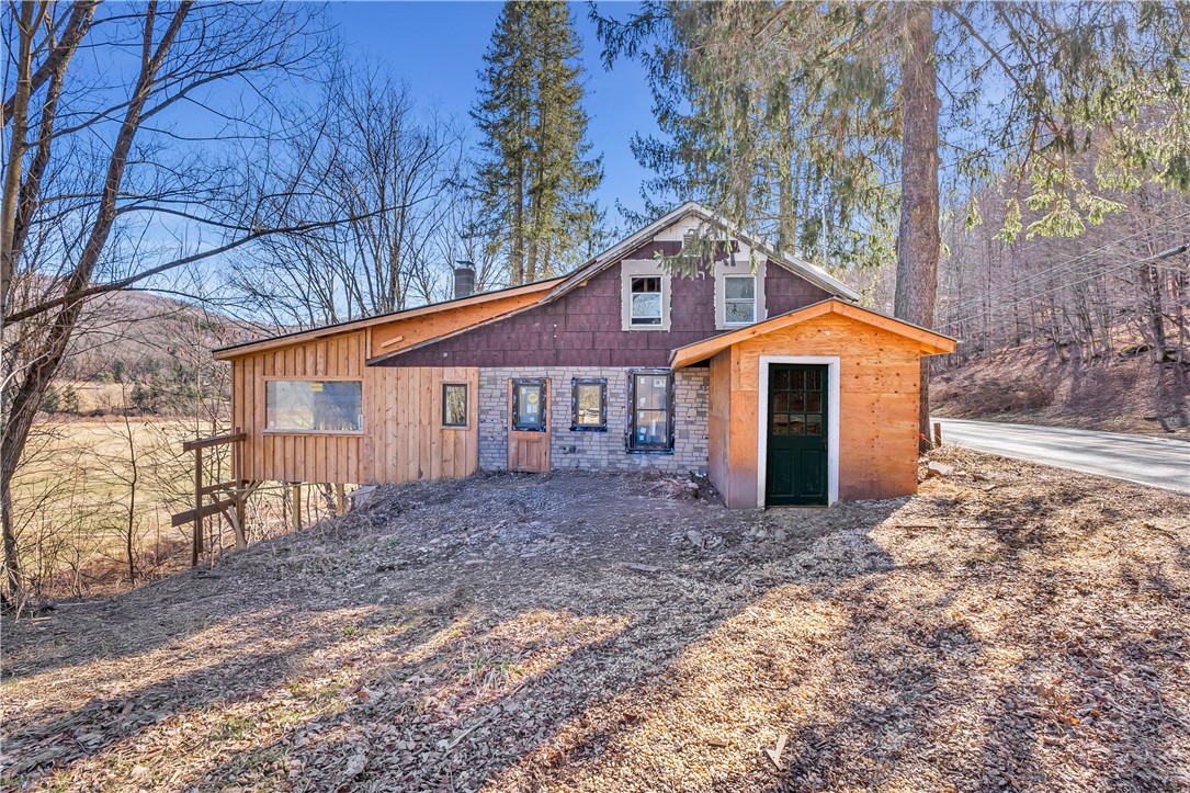 484 North Branch Callicoon Center Road Callicoon, NY 12766 - Photo 2 of 20